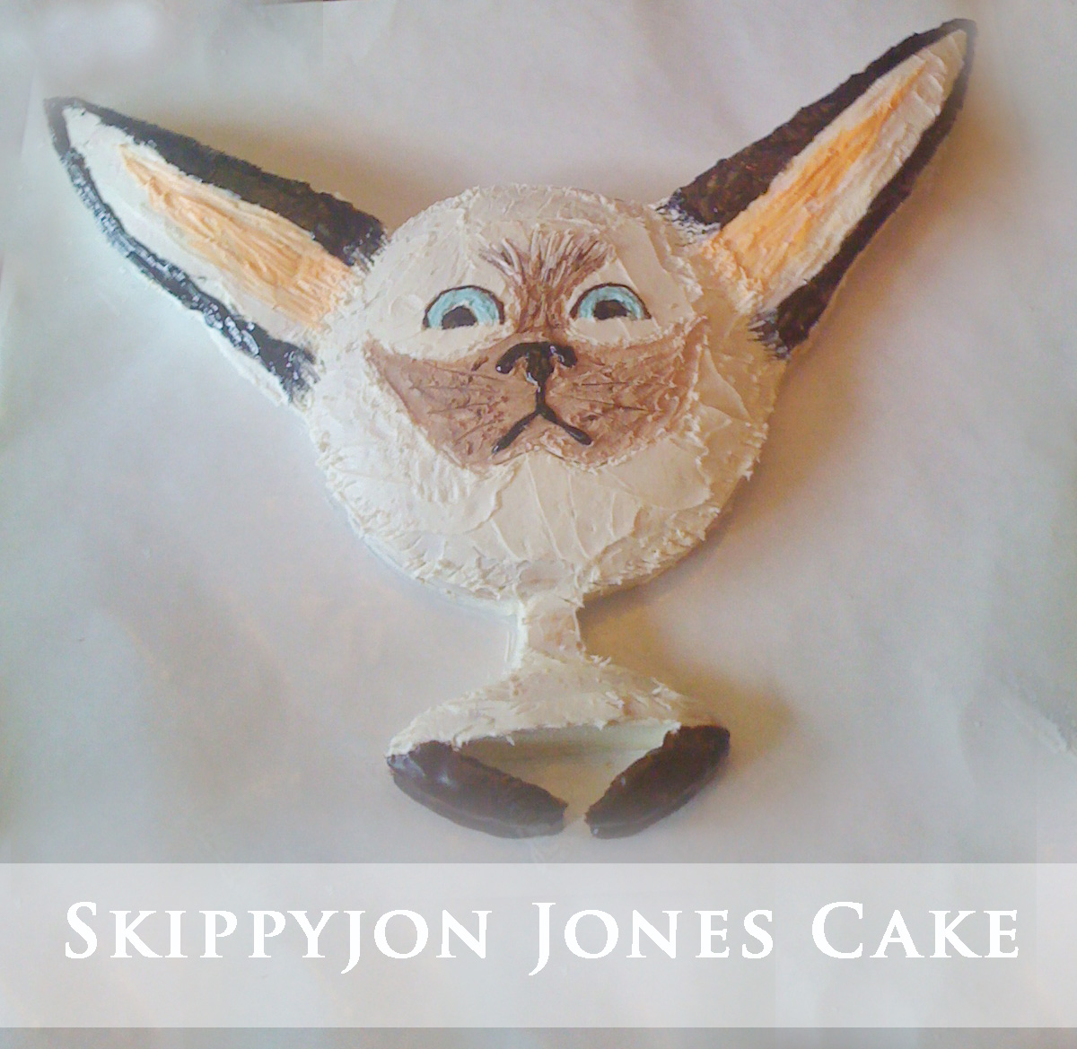 Skippyjon Jones Birthday Cake